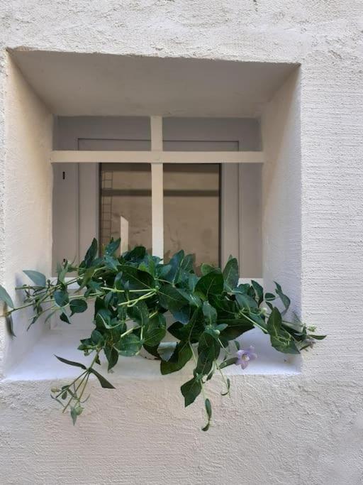 Villa Casa Maergilu Pescara Exterior foto